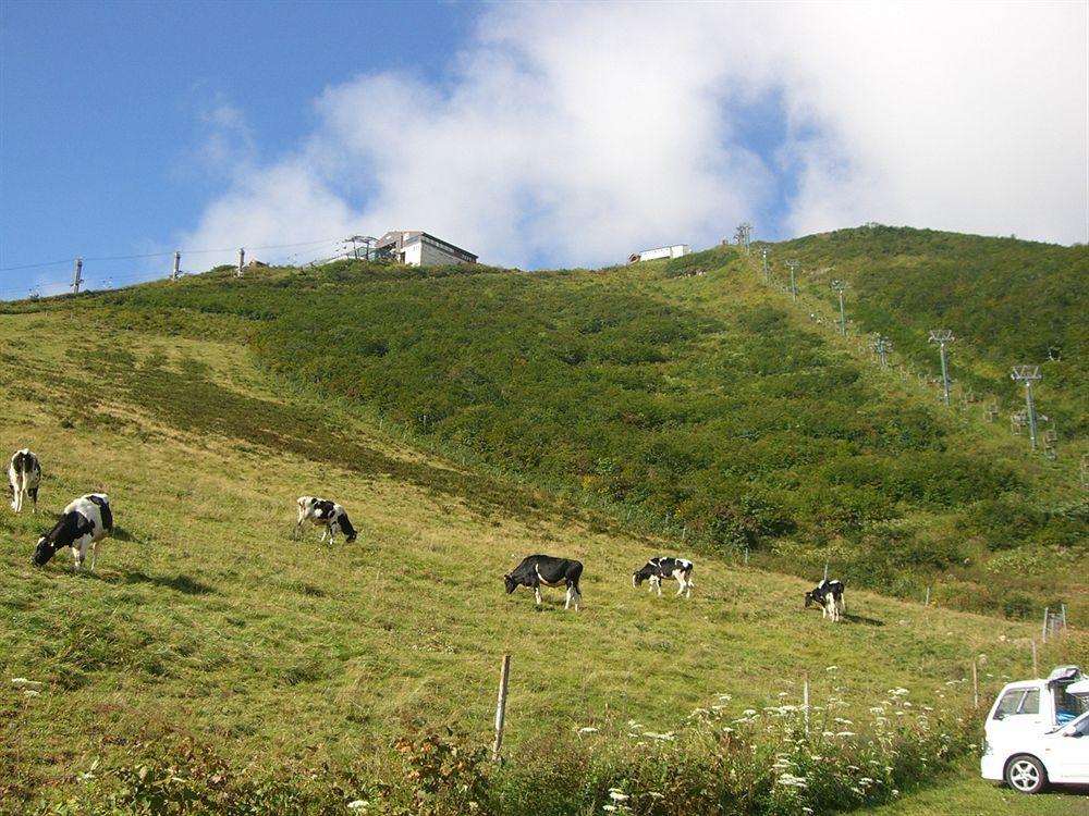 Il Bosco Βίλα Χακούμπα Εξωτερικό φωτογραφία