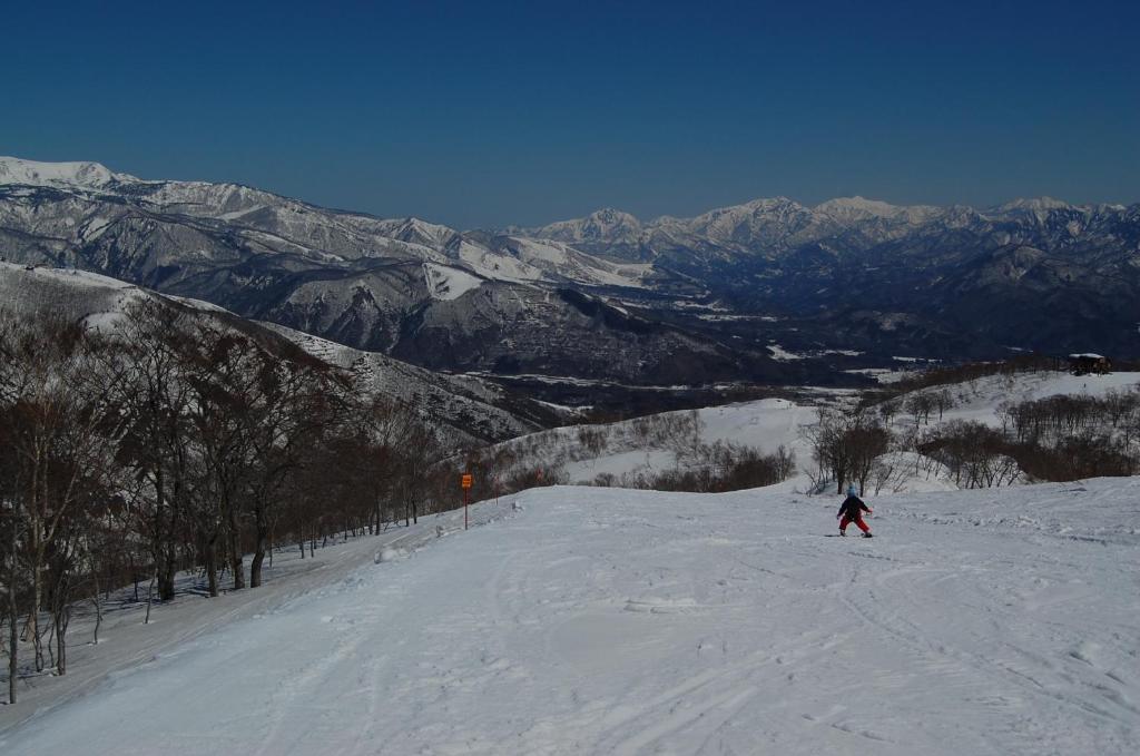 Il Bosco Βίλα Χακούμπα Εξωτερικό φωτογραφία